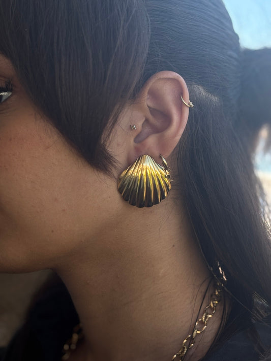 Boucles Coquillage